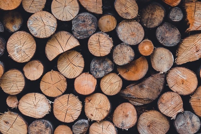 palivové dřevo